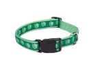 Casual Canine ZA8871 18 43 Dog Collar, 18 to 26 in L Collar, 1 in W Collar, Nylon, Green Green