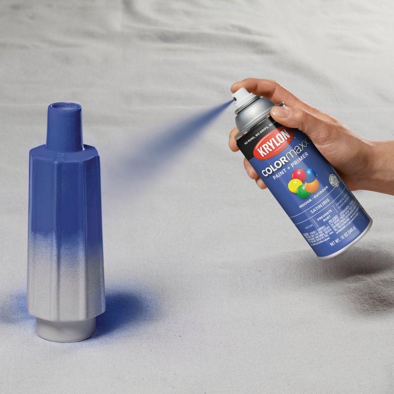Krylon ColorMaxx Spray Paint + Primer Iris, 12 Oz.