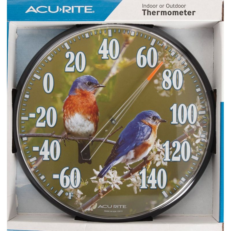 Acu-Rite Bluebird Outdoor Wall Thermometer Green