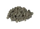 Victor M6006 Mole and Gopher Poison Peanut, Granular, Solid, Garlic, Black/Dark Gray, 6 oz Container Black/Dark Gray