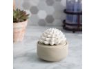 Candle Warmers Airome Porcelain Passive Essential Oil Diffuser 10 Ml, Beige