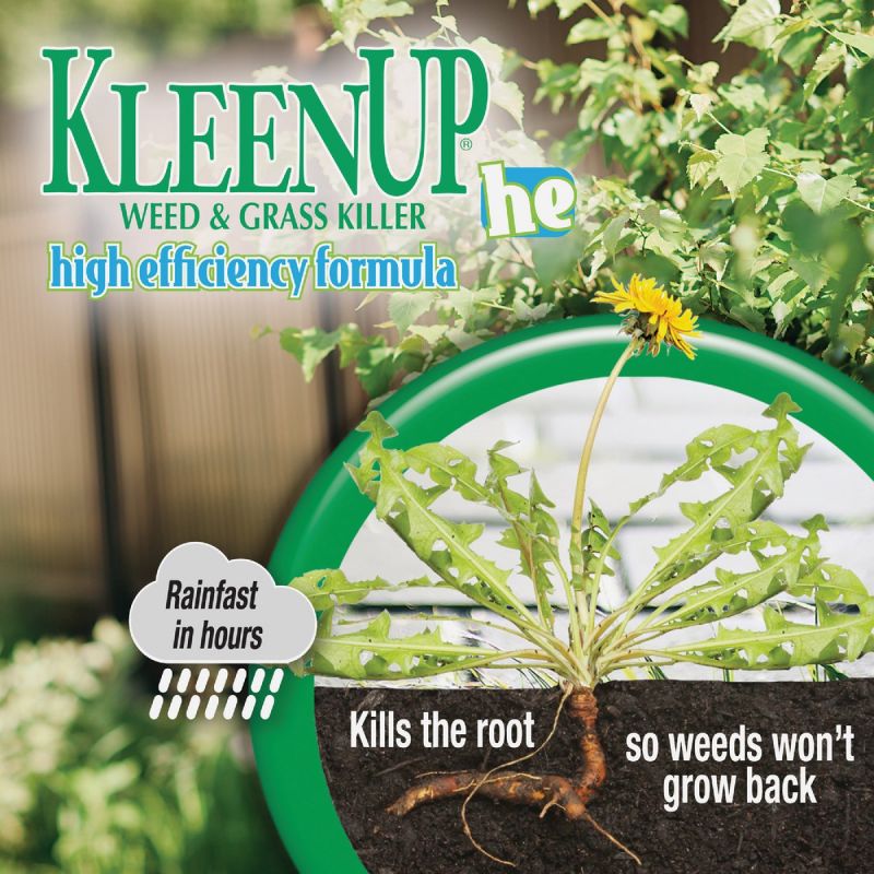 Bonide KleenUp High Efficiency Formula Weed &amp; Grass Killer 16 Oz., Pourable