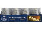 Alpine LED Battery Operated Indoor/Outdoor String Lights Warm White (Pack of 16)