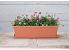 Novelty Polypropylene Flower Box Tray Terra