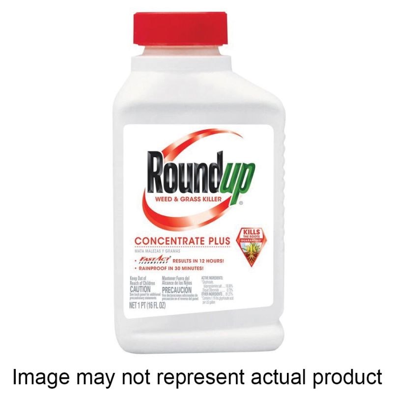 Roundup 5376312 Weed and Grass Killer, 35.2 oz