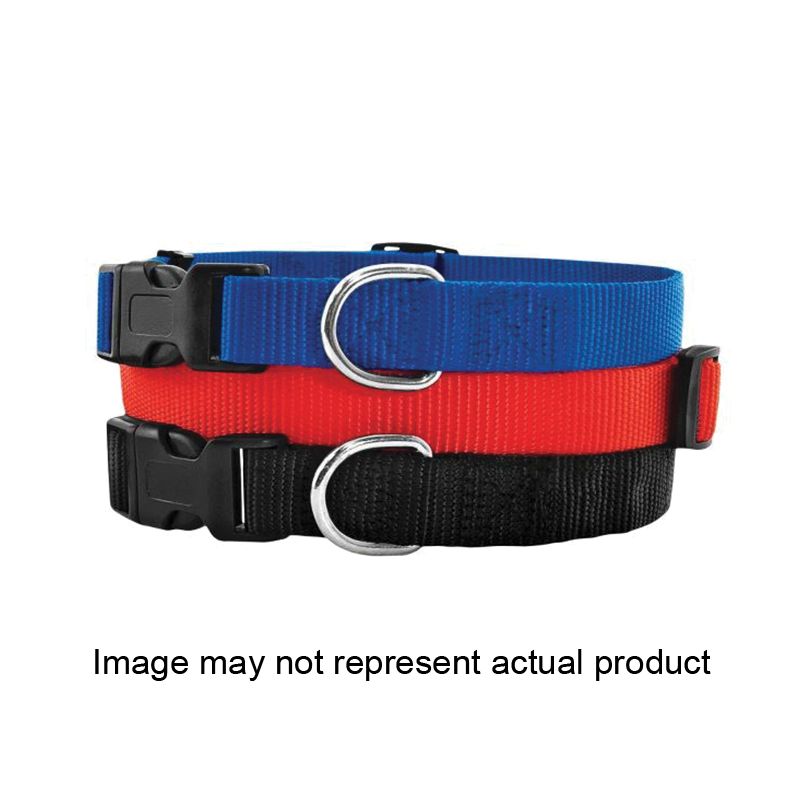 Ruffin&#039;It QUADLOCK 31441 Adjustable Dog Collar, 10 to 16 in L, 5/8 in W, Nylon, Assorted Assorted