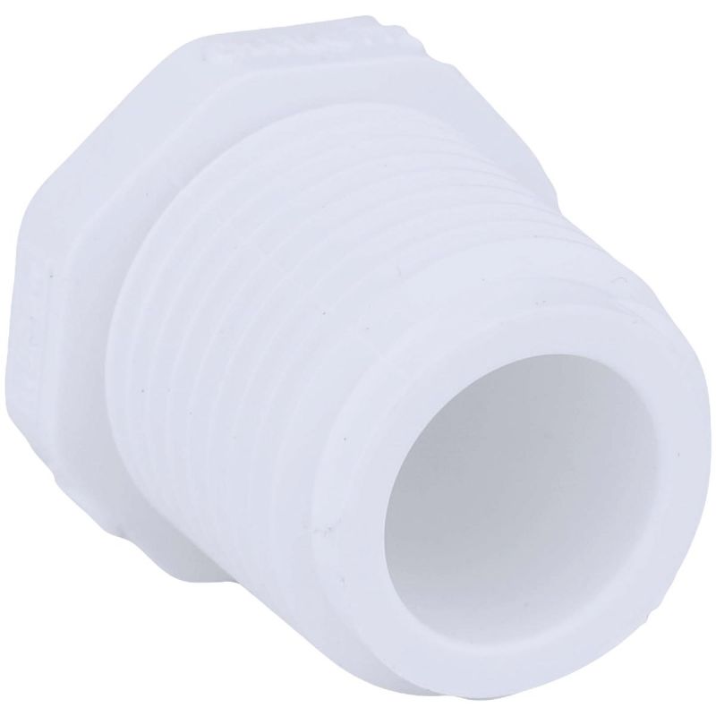 Charlotte Pipe PVC Threaded Plug 1/2 In. MIP