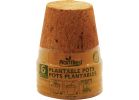 PlantBest Coconut Coir Plantable Pot