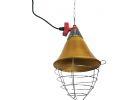 Stromberg&#039;s Safety Brooder Lamp