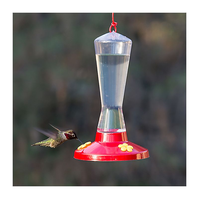 Perky-Pet 211 Bird Feeder, Pinch Waist, 8 oz, Nectar, 3-Port/Perch, Plastic, Clear/Red, Hang Mounting Clear/Red