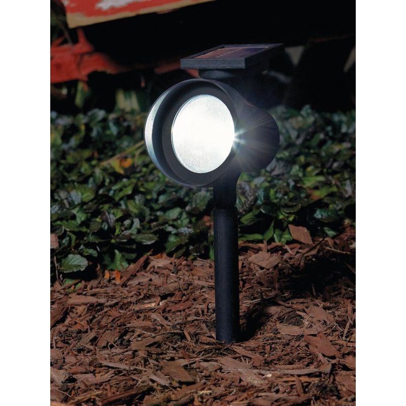 Outdoor Expressions Floodlight Solar Path Light Black (Pack of 12)