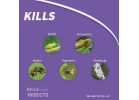 Bonide Eight Vegetable, Fruit, &amp; Flower Insect Killer 16 Oz., Sprayer