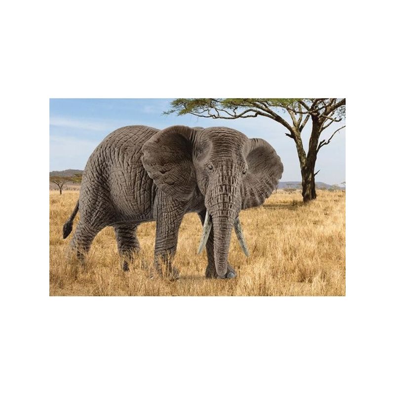 Schleich-S 14761 Figurine, 3 to 8 years, Female African Elephant, Plastic