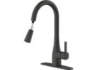 Home Impressions Single Handle Pull Down Kitchen Faucet