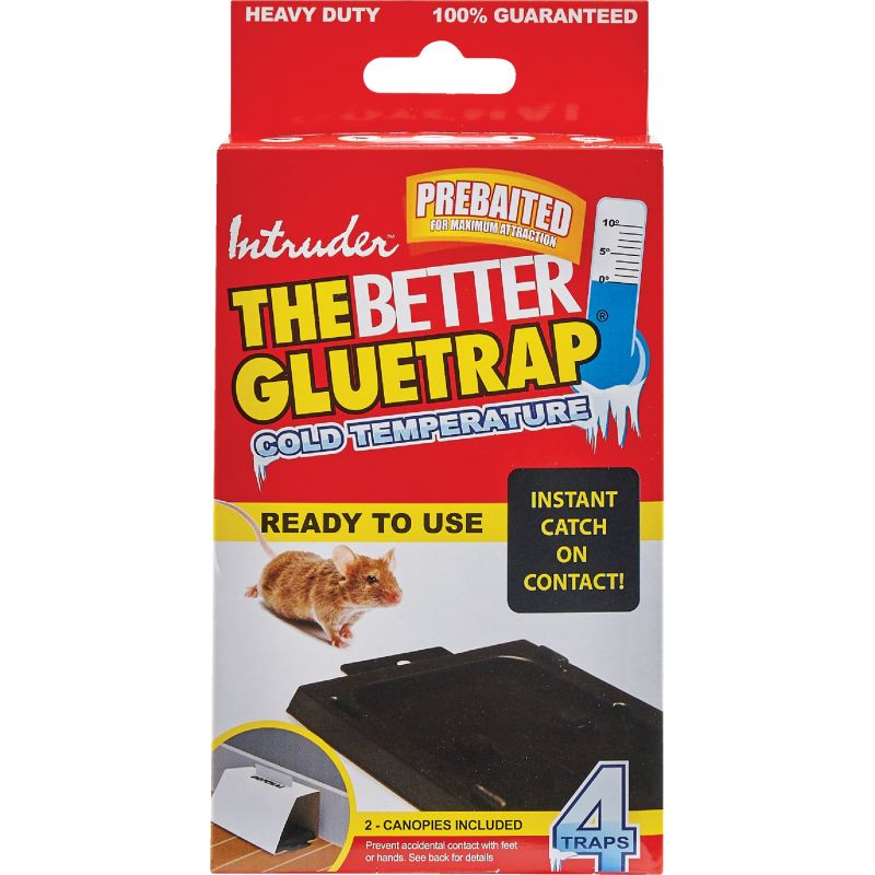 Intruder The Better Glue Trap Cold Temperature Mouse Trap