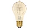 Satco A19 Incandescent Vintage Edison Decorative Light Bulb