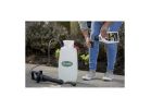 Ortho GROUNDCLEAR 4650306 Weed and Grass Killer, Liquid, Spray Application, 32 oz Bottle Clear
