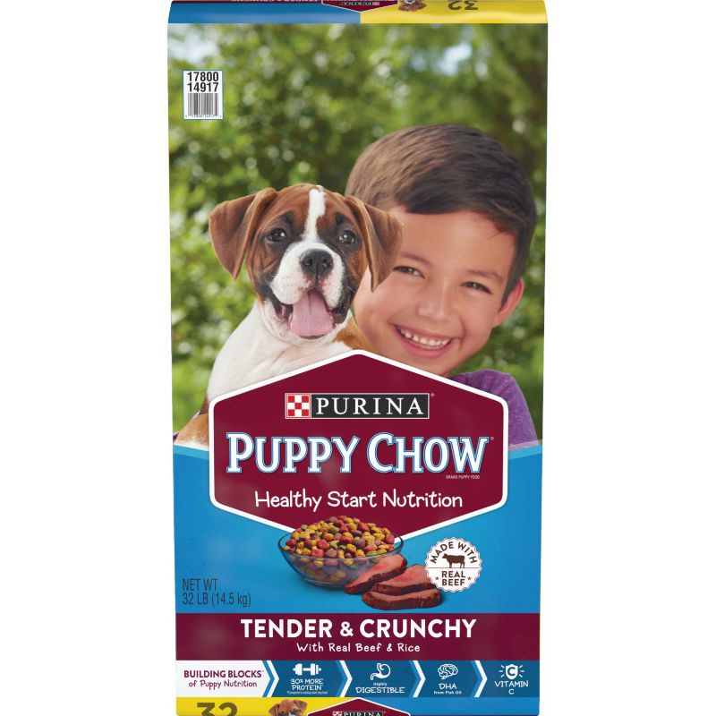 Purina Puppy Chow Healthy Morsels Dry Puppy Food 32 Lb.