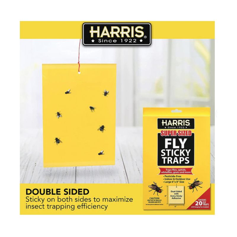 Harris Super Sized Series LFT-20 Fly Sticky Trap, Glue Trap Yellow