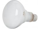 Do it BR30 Incandescent Floodlight Light Bulb