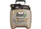 Roundup Extended Control Weed &amp; Grass Killer Plus Weed Preventer II 1.33 Gal., Wand Sprayer