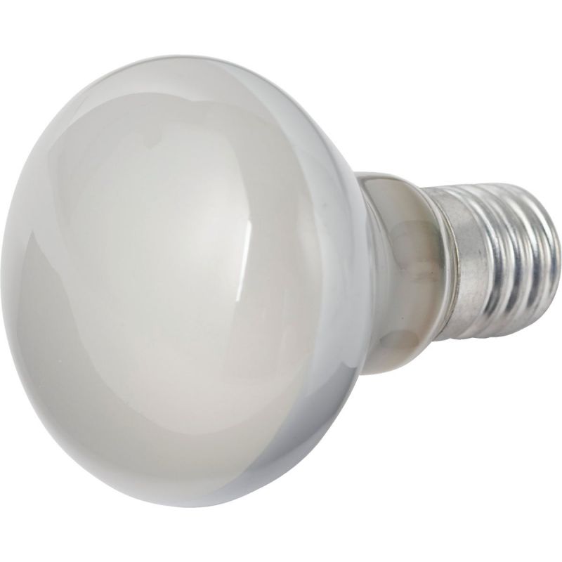 Philips R14 Mini Incandescent Spotlight Light Bulb