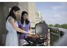 Weber Q 1400 Electric Grill Gray