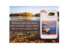 Sanco 00114 Natural Pond Cleaner, Liquid, Colorless, 1 gal Colorless