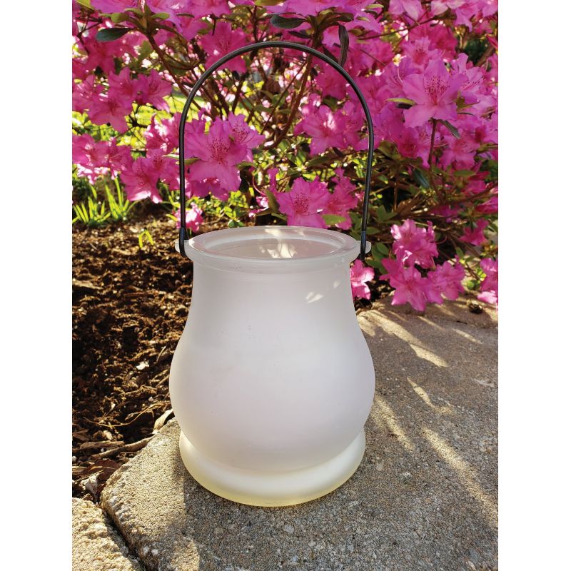 Luminite Color Changing Citronella Candle 6.4 Oz., Color Changing