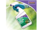 Bonide 0612 Weed Killer, Liquid, Spray Application, 1 qt