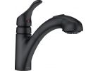 Moen Renzo Single Handle Pull-Out Kitchen Faucet