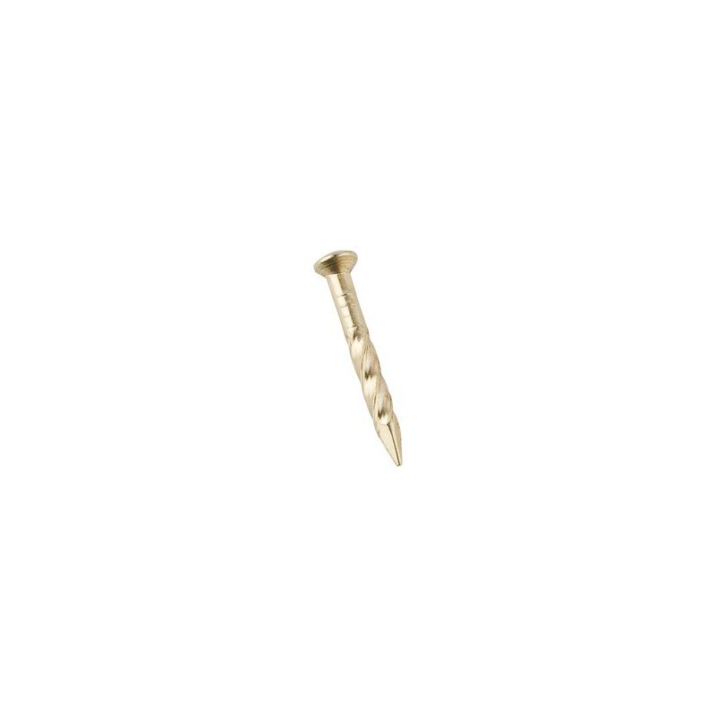 National Hardware N279-034 Trim Nail, 7/8 in L, Steel, Brass, 1 PK (Pack of 5)