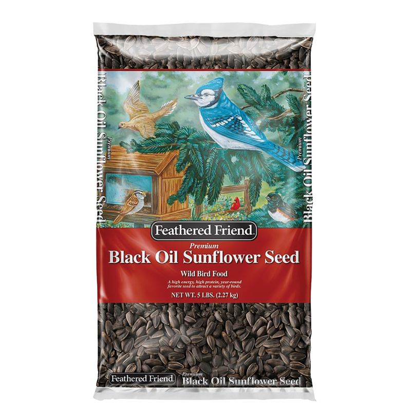 Feathered Friend 14416 Black Oil Sunflower Seed, 5 lb
