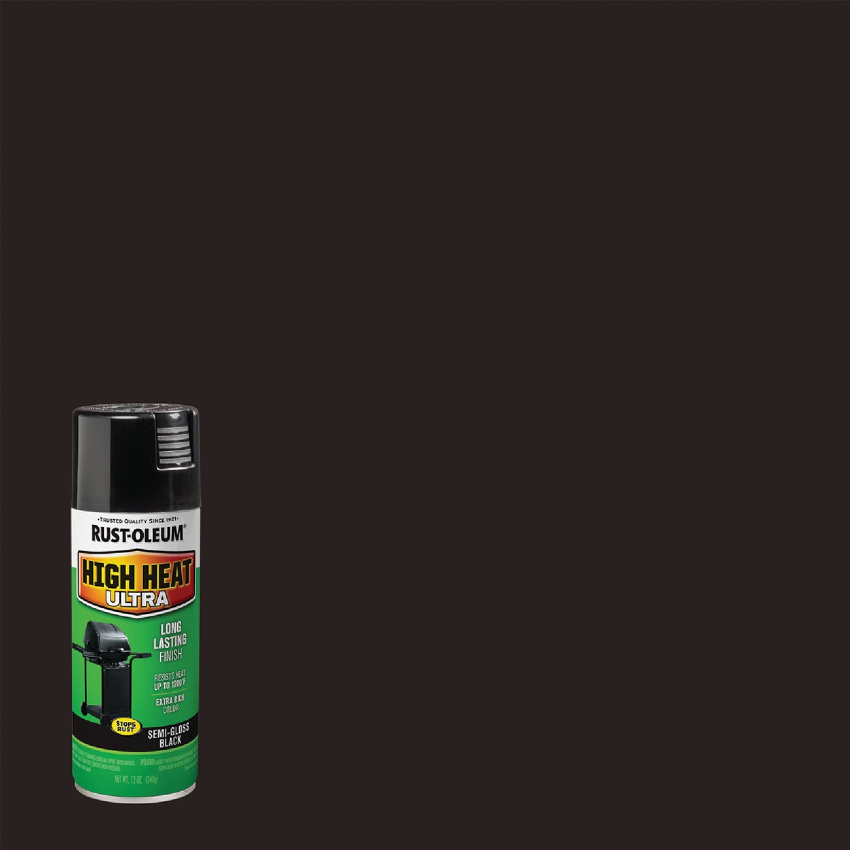 Rust-Oleum 301438 Specialty Chalkboard Spray Paint, 11 oz, Black - Spray  Paints 