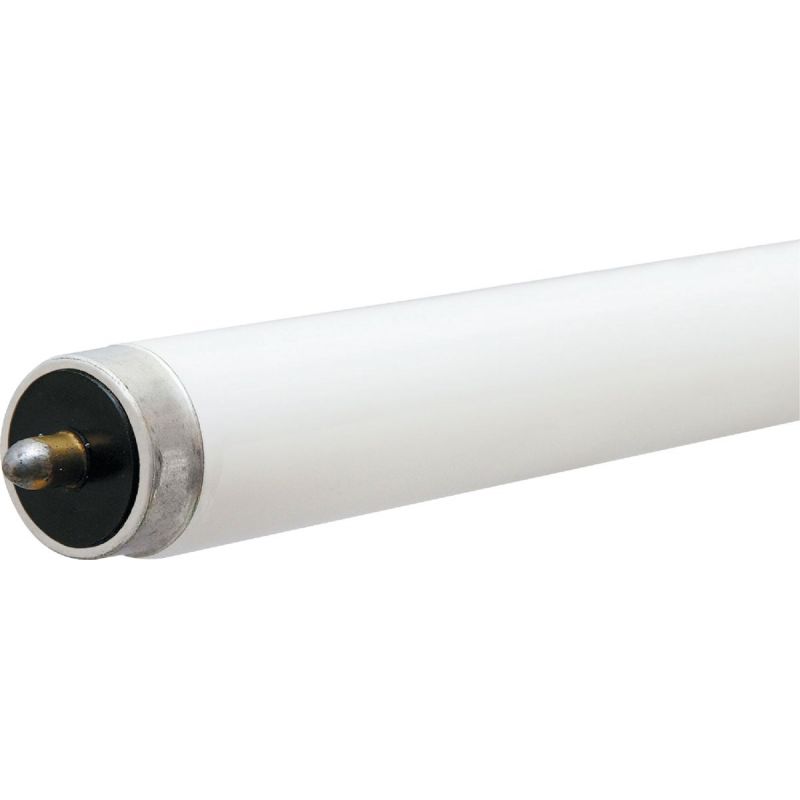 Etableret teori Overhale Installere Buy Philips T8 Single Pin Fluorescent Tube Light Bulb (Pack of 15)