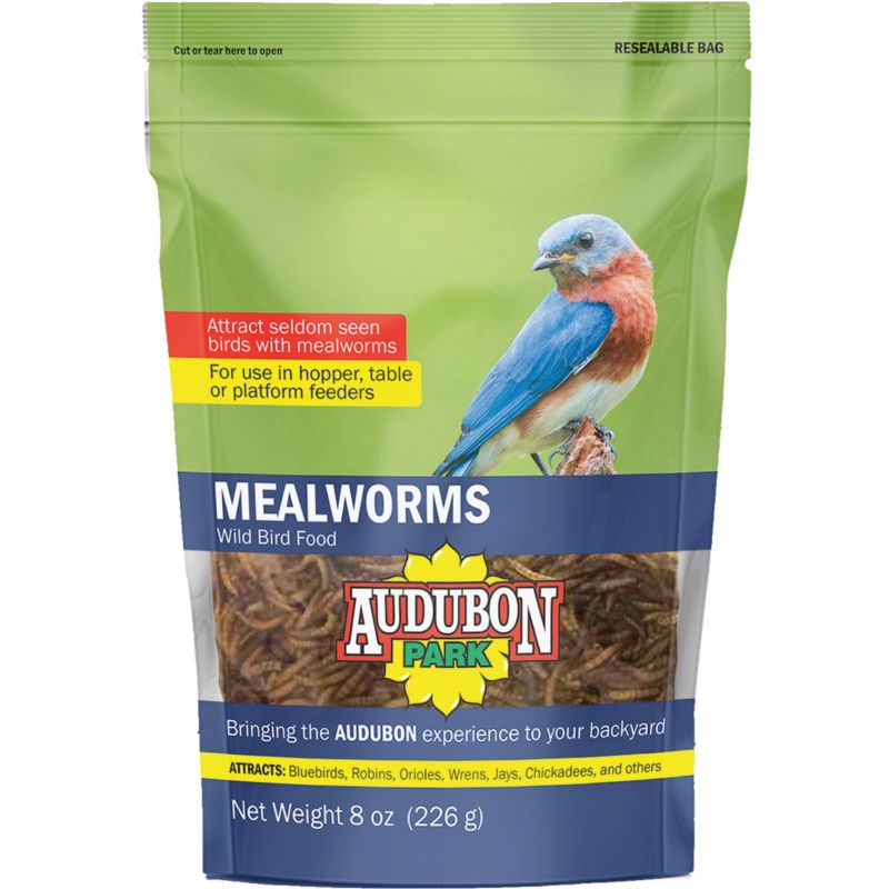 Audubon Park Dried Mealworms