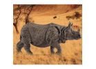 Schleich-S 14816 Figurine, 3 to 8 years, Indian Rhinoceros, Plastic