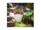 Southern Patio HDR-091622 Planter, 12 in H, 13 in W, 13 in D, Egg, Plastic/Resin, White, Stone Aesthetic White