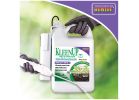 Bonide KleenUp he 759 Weed and Grass Killer Ready-to-Use with Power Wand, Liquid, Off-White/Yellow, 1 gal Off-White/Yellow