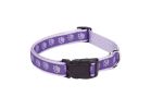 Casual Canine ZA8871 18 79 Dog Collar, 18 to 26 in L Collar, 1 in W Collar, Nylon, Purple Purple