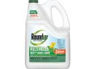 Roundup For Lawns Northern Formula Weed Killer 1.25 Gal., Refill
