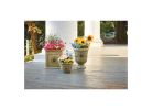 Southern Patio CMX-091868 Colony Planter, 16 in H, 16 in W, 16 in D, Square, Ceramic, Neutral Gray, Gloss Neutral Gray