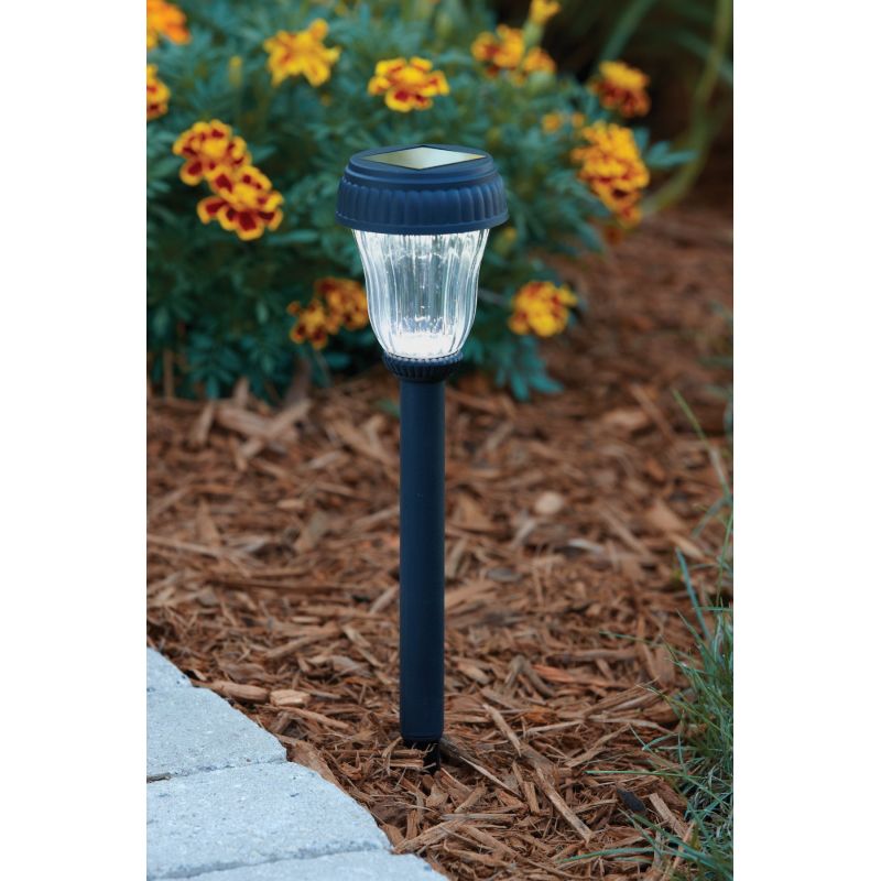 Outdoor Expressions Black Solar Path Light Black (Pack of 12)