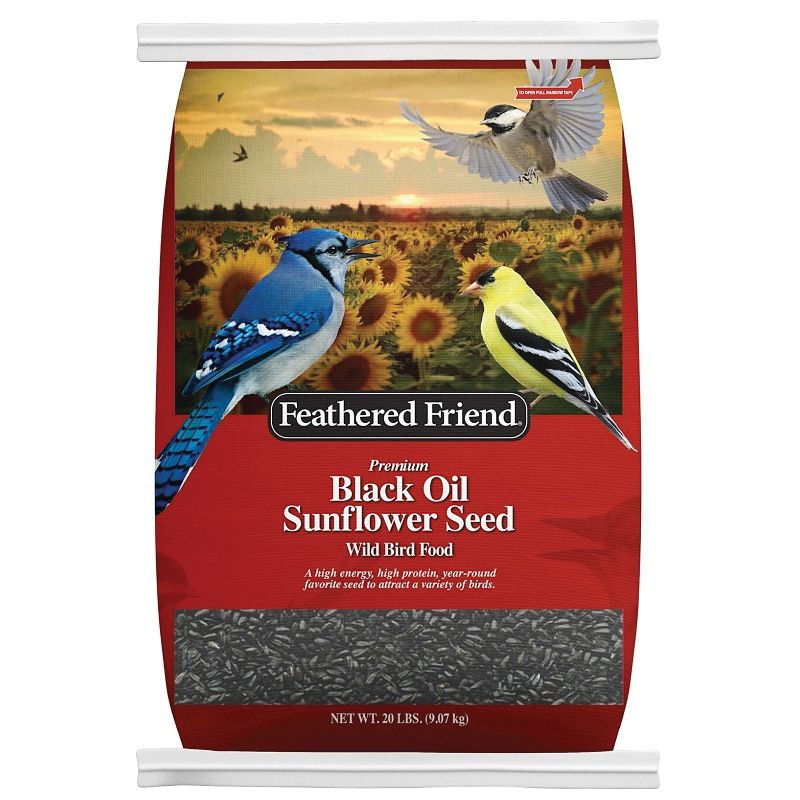 Feathered Friend 14421 Black Oil Sunflower Seed, 20 lb
