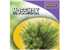 Bonide MossMax® 6lb 60725 Lawn Moss Killer, Granular, Brown, 6 lb Jug Brown