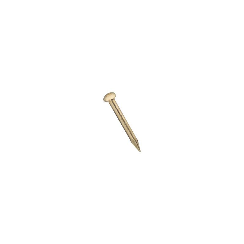 National Hardware N278-119 Wire Nail, 1/2 in L, Steel, Bright, 1 PK