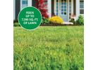 Miracle-Gro Lawn Fertilizer
