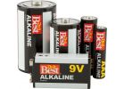 Do it Best D Alkaline Battery 15,453 MAh