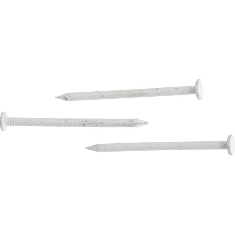 Do it Stainless Steel Trim Nail 3d, White