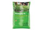 Pennington Kentucky 31 Series 100516056 Grass Seed, 50 lb Bag